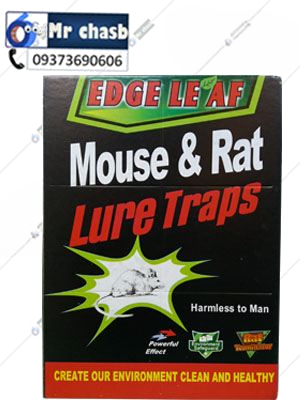 چسب موش کتابی اصلی